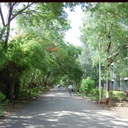College Campus